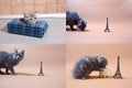 British Shorthair kittens and Tour Eiffel, Paris, multicam Royalty Free Stock Photo