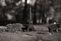 British Shorthair kittens and Tour Eiffel Royalty Free Stock Photo