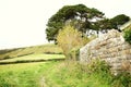 British stone house wall style scenic. Royalty Free Stock Photo