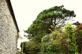 British stone house wall style scenic. Royalty Free Stock Photo