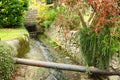 British stream and house style scenic. Royalty Free Stock Photo