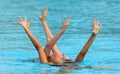 British synchro swimmers Royalty Free Stock Photo