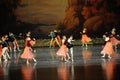 The British Waltz-ballet Swan Lake Royalty Free Stock Photo