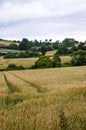 Brittany countryside Royalty Free Stock Photo
