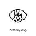 Brittany dog icon. Trendy modern flat linear vector Brittany dog