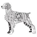 Brittany dog zentangle stylized, vector, illustration, freehand