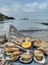 Brittany, France - March 20, 2022: oyster mix with lemon on a plate against the backdrop of the English Channel