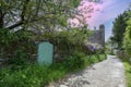 Brittany, Ile aux Moines island, typical houses in the village