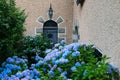 Brittany region in France house faÃÂ§ade with blue hydrangea flowers Royalty Free Stock Photo