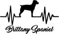 Brittany Spaniel heartbeat word