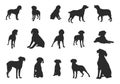 Brittany spaniel silhouette, Brittany dog clipart, Dog silhouettes, Brittany dog icon