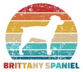 Brittany Spaniel vintage color