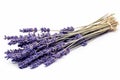 Brittle Dried lavender. Generate Ai