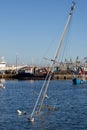 BRIXHAM, DEVON, UK - JANUARY 18 : View of sunken yacht in Brixham, Devon on January 18, 2024