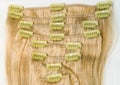 Brlonde clip in hair extension