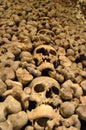 Brno, Czech Republic catacombs, human skulls