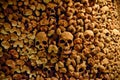 Brno Ossuary in dungeon of St James Chuch