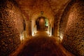 Brno Ossuary in dungeon of St James Chuch