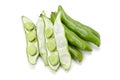 Broad bean