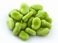 Broad bean green seeds, field bean, bell