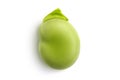 Broad bean Royalty Free Stock Photo