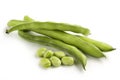 Broad bean pods and seeds