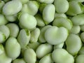 Broad Beans Royalty Free Stock Photo