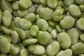 Broad Beans