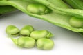 Broad beans