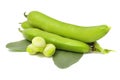 Broad Beans Royalty Free Stock Photo