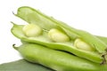 Broad Beans Royalty Free Stock Photo