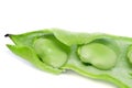 Broad beans Royalty Free Stock Photo