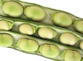 Broad beans Royalty Free Stock Photo