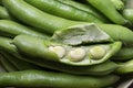 Broad beans close up, green, raw and fresh shelled fava beans and seed pods Royalty Free Stock Photo