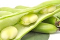 Broad Beans Closeup Royalty Free Stock Photo