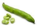 Broad Beans