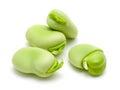 Broad Beans Royalty Free Stock Photo