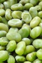 Broad beans Royalty Free Stock Photo