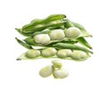 Broad beans pods and grains