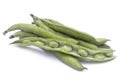 Broad beans Vicia faba var. major in pods and seeds Royalty Free Stock Photo