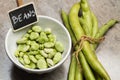Broad beans in a white bowl Royalty Free Stock Photo
