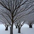 Broad-leaved forest in the winter. Royalty Free Stock Photo