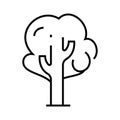 Broad-leaved tree line icon, concept illustration, outline symbol, sign, linear symbol.