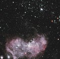 The broad vista of young stars and gas clouds in our neighboring galaxy, the Large Magellanic Cloud. Elements of this image