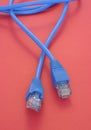 Broadband cable RJ-45 Royalty Free Stock Photo