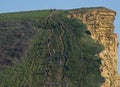 Broadchurch Cliff West Bay Dorset Royalty Free Stock Photo