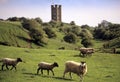 Broadway tower Royalty Free Stock Photo