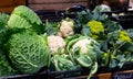 Broccoflower, cauliflower, broccoli, cabbage at market