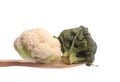 Broccol and a mini cauliflower on a wooden spoon Royalty Free Stock Photo