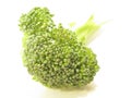 Broccoli Royalty Free Stock Photo